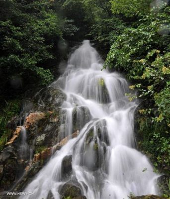  Le Mont JiuwanShan : Vue imprenable sur une nature luxuriante et mystérieuse !