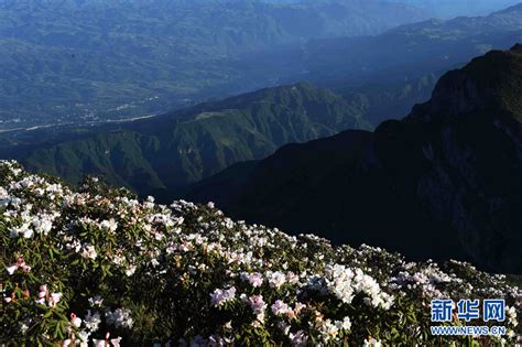 Le Mont Wumeng : Vestige géologique fascinant et refuge pour la faune sauvage !