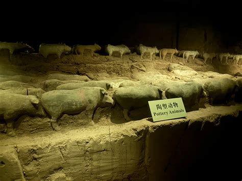 Le Mausolée de Yangling ! Un trésor historique et un paradis pour les amoureux de l'histoire ancienne !