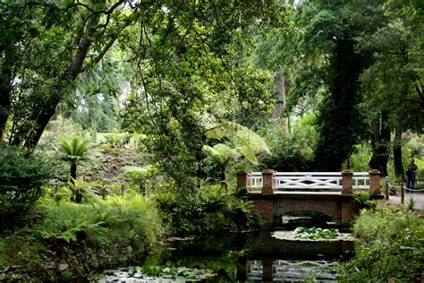 Le Jardin Botanique de Gijón: Un paradis vert et un voyage à travers l'histoire !