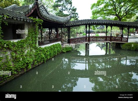 Le Jardin du Maître des Filets de Lotus, un paradis paisible pour les amoureux de la nature !